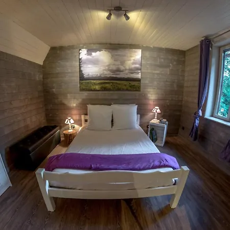 L'esprit Du Bois Chalet