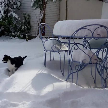 L'esprit Du Bois 木屋