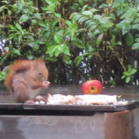 木屋 L'esprit Du Bois 艾达