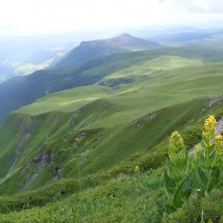 木屋 L'esprit Du Bois 艾达