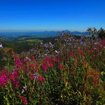 木屋 L'esprit Du Bois 艾达