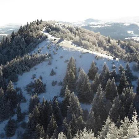 L'esprit Du Bois 木屋 *