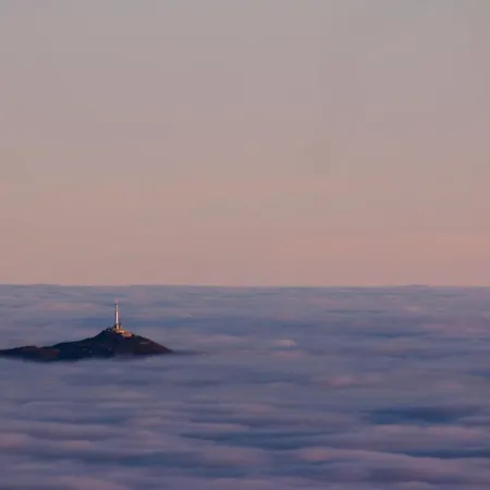 L'esprit Du Bois * 艾达