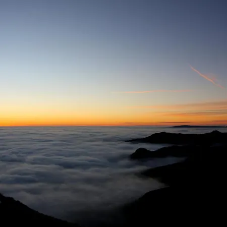 L'esprit Du Bois * 艾达