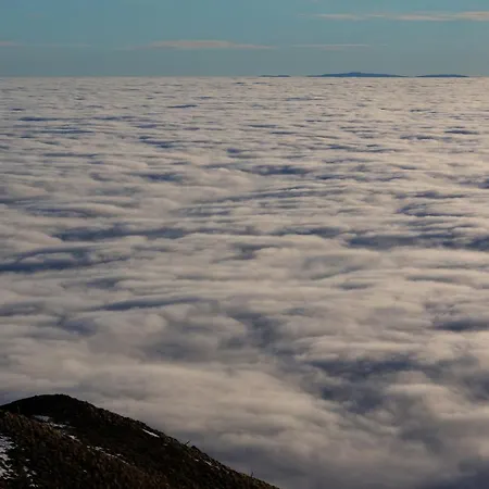 L'esprit Du Bois 艾达